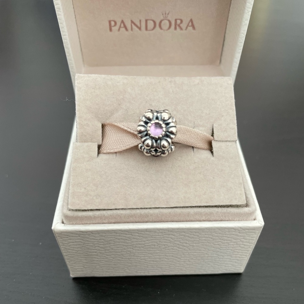 Pandora amethyst birthday blooms charm